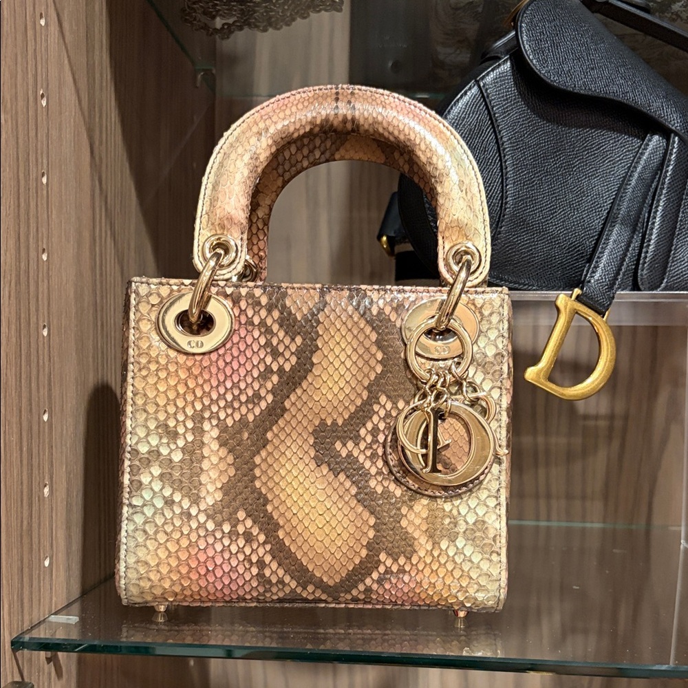 Dior Metallic Snakeskin Lady Bag in Gold and Beige